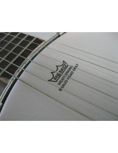 Banjo BJ-6 de 6 cuerdas 2