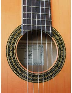 Azahar 131 Naranja flamenco 2