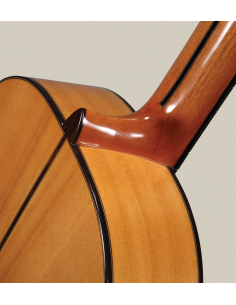 Guitarra Flamenca Altamira N700F+ con estuche 2