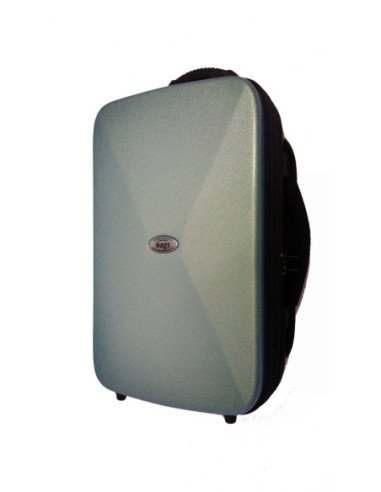 Estuche para 2 Clarinetes Sib/La...