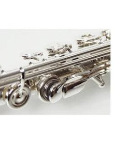 Flauta Miyazawa Br402-R Mz10