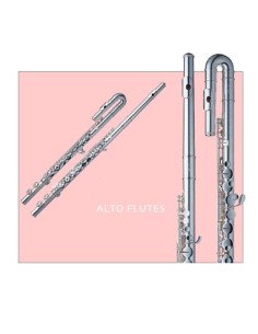 Flauta Alto Sankyo Af-101S