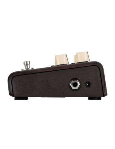 Lr Baggs Align Delay Delay Acustica