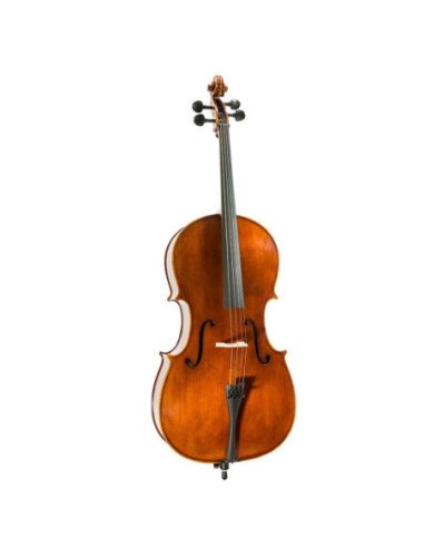 Cello 1/2 | Tapa de Abeto | Fondo y...