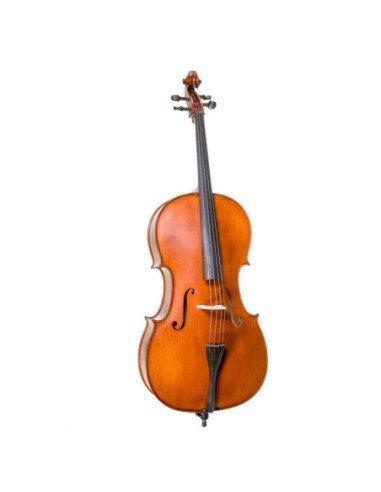 Cello 1/2 | Tapa de Abeto | Fondo y...