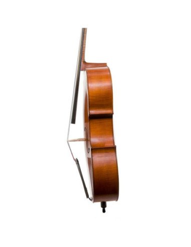 Cello 1/2 | Tapa de Abeto | Fondo y...