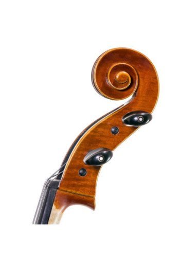 Cello 7/8 | Tapa de Abeto | Fondo y...