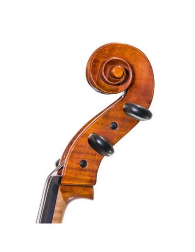 Cello 3/4 | Tapa de Abeto | Fondo y...