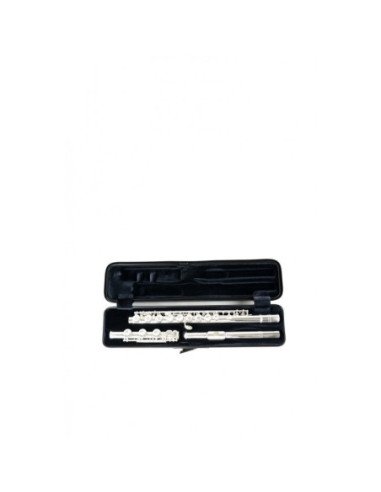Estuche Flauta Bam 4009XL Hightech...