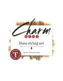 Set De Cuerdas Contrabajo FOR-TUNE Charm Kids Orchestra Tungsteno Medium 1/2