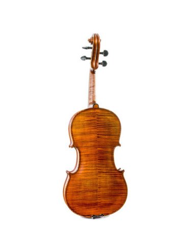 Viola Gliga Vasile Maestro I 15''