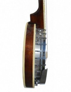 Banjo Daytona Bj5Mp 2