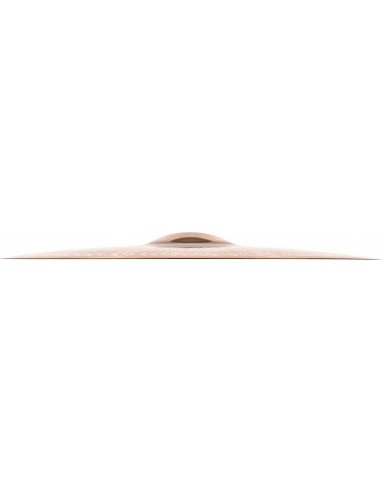 Meinl 19 Pure Alloy Custom Medium T