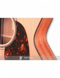 Guitarra Electro-Acústica... 2