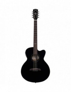 Guitarra Electro-Acústica... 2