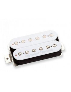 Seymour Duncan Sentient...