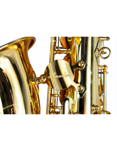 Saxo Alto Amadeus En Mib