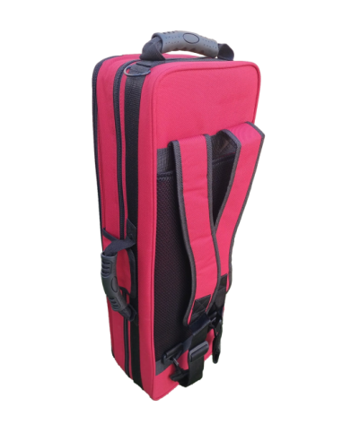 Estuche Saxo Soprano Alyseé