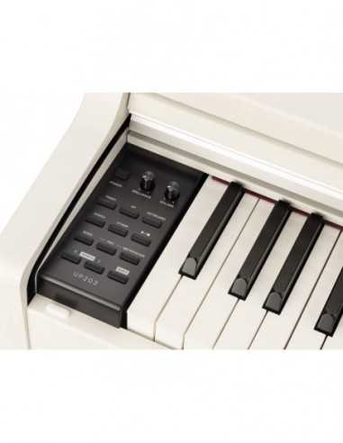 Piano De Escenario Medeli 88 Teclas...
