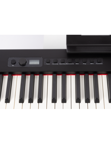 Piano Digital Amadeus PA-10 Negro de...