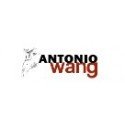 Violines Antonio Wang