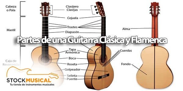 Partes de la Guitarra