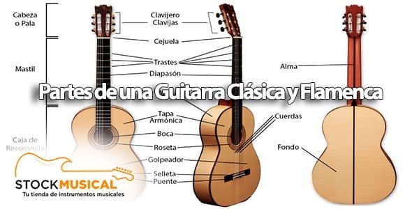 apertura Restricciones ganador Información para saber las partes que forman una guitarra clásica -  Stockmusical